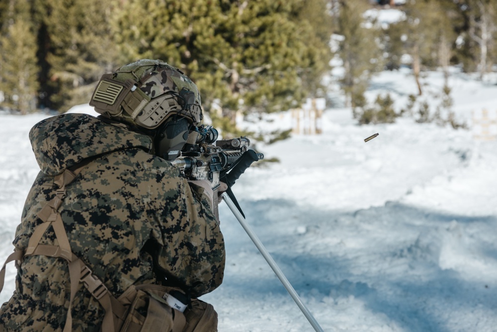 Marines with 1st Battalion, 6th Marine Regiment, 2d Marine Division conduct a live-fire range during MTX 2-25