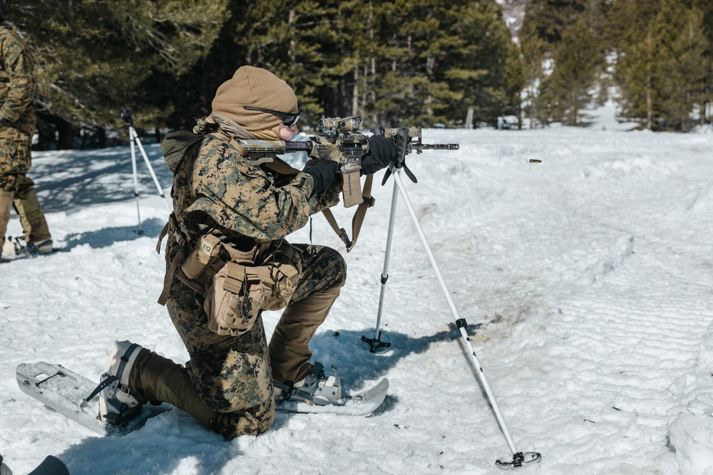 Marines with 1st Battalion, 6th Marine Regiment, 2d Marine Division conduct a live-fire range during MTX 2-25
