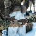 Marines with 1st Battalion, 6th Marine Regiment, 2d Marine Division conduct a live-fire range during MTX 2-25