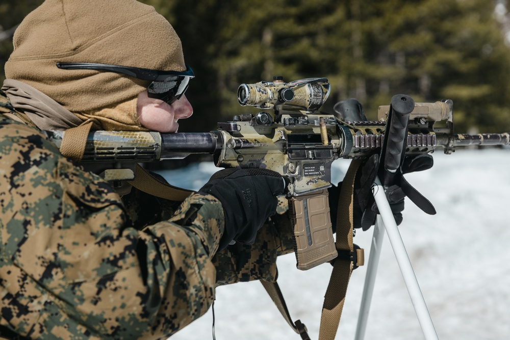 Marines with 1st Battalion, 6th Marine Regiment, 2d Marine Division conduct a live-fire range during MTX 2-25