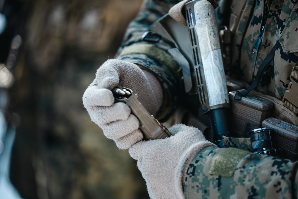Marines with 1st Battalion, 6th Marine Regiment, 2d Marine Division conduct a live-fire range during MTX 2-25