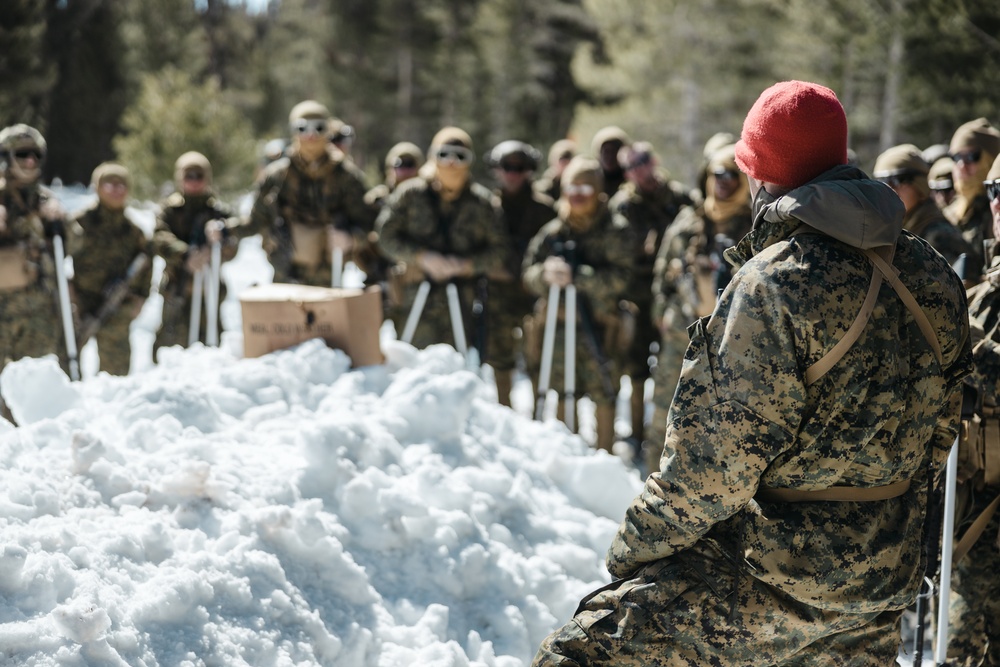 Marines with 1st Battalion, 6th Marine Regiment, 2d Marine Division conduct a live-fire range during MTX 2-25