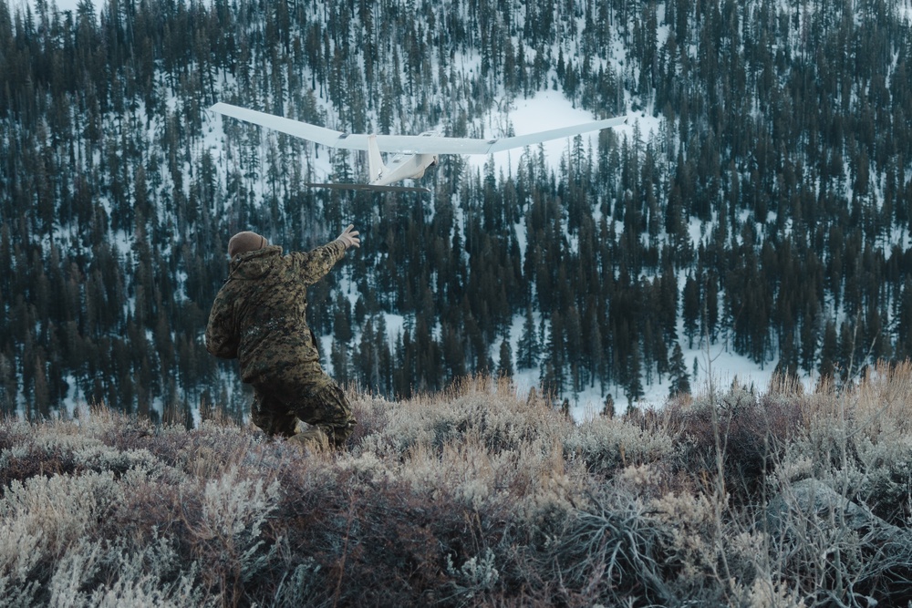 Marines with 1st Battalion, 6th Marine Regiment, 2d Marine Division fly SUAS during MTX 2-25