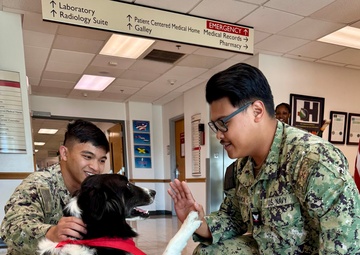 All paws on deck! U.S. Naval Hospital Guantanamo Bay begins American Red Cross Animal Visitation Program