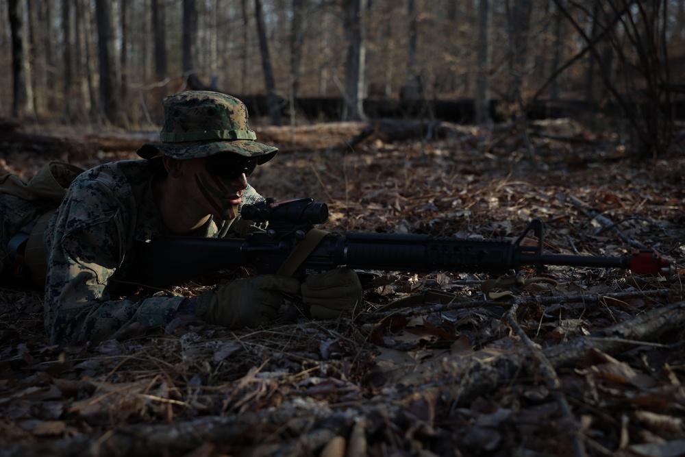 Dusk to Dawn: Alpha Co. Patrolling Exercise