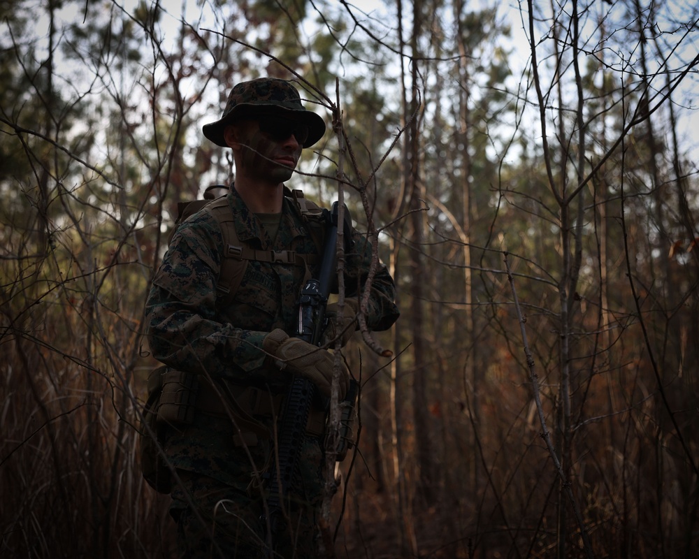 Dusk to Dawn: Alpha Co. Patrolling Exercise