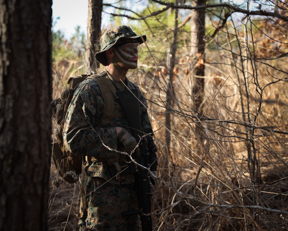 Dusk to Dawn: Alpha Co. Patrolling Exercise