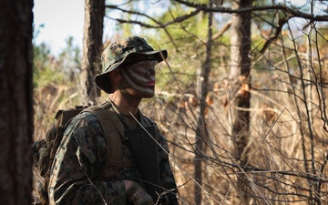 Dusk to Dawn: Alpha Co. Patrolling Exercise