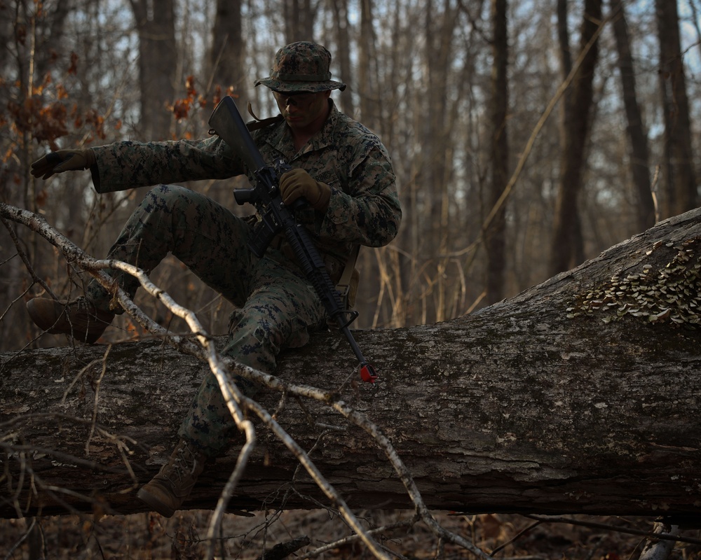 Dusk to Dawn: Alpha Co. Patrolling Exercise