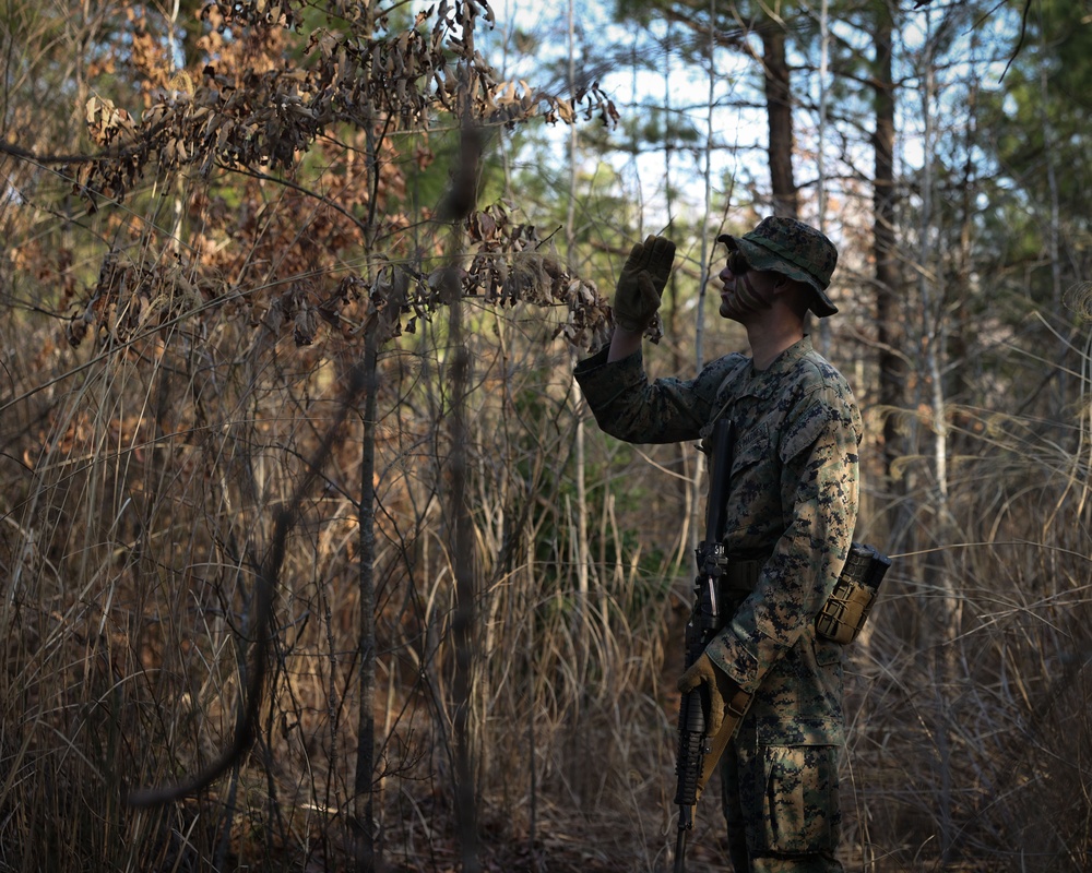 Dusk to Dawn: Alpha Co. Patrolling Exercise