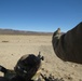 Small Arms Qual