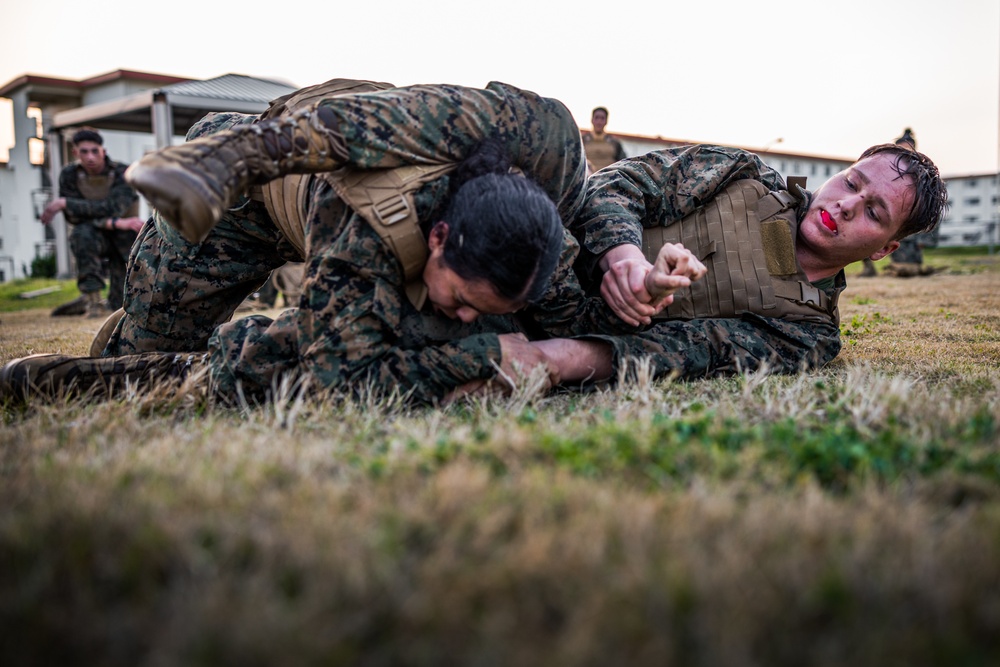 12th LAAB Marines Participate in a MCMAP Course