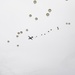 Airborne 25: US, JGSDF conduct annual mass airborne operations