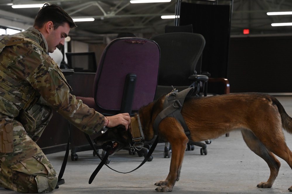 Military working dogs on duty, ensuring safety at Incirlik Air Base