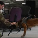 Military working dogs on duty, ensuring safety at Incirlik Air Base