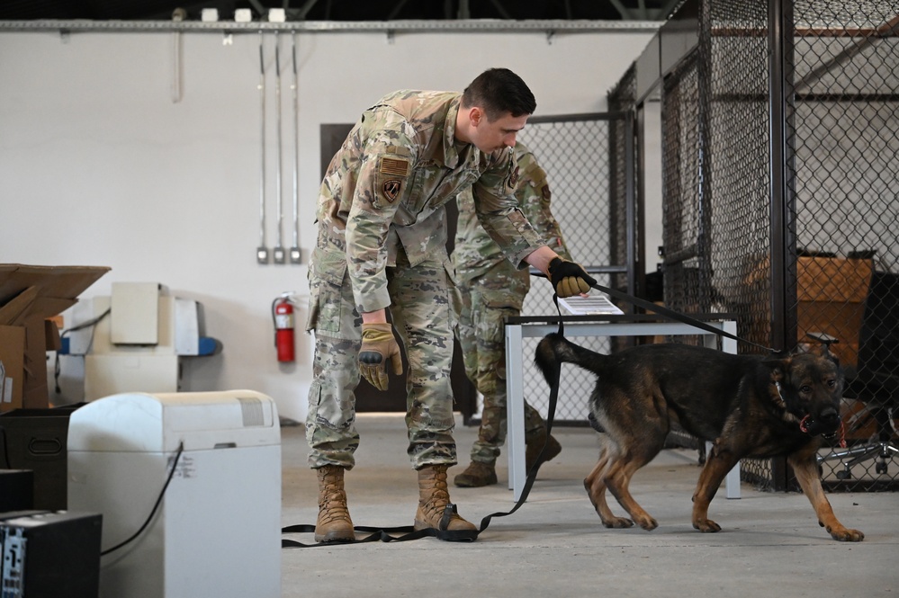 Military working dogs on duty, ensuring safety at Incirlik Air Base