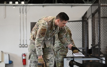 Military working dogs on duty, ensuring safety at Incirlik Air Base