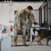 Military working dogs on duty, ensuring safety at Incirlik Air Base