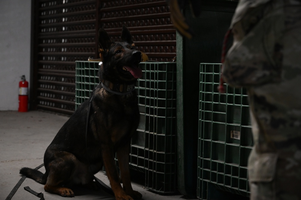 Military working dogs on duty, ensuring safety at Incirlik Air Base