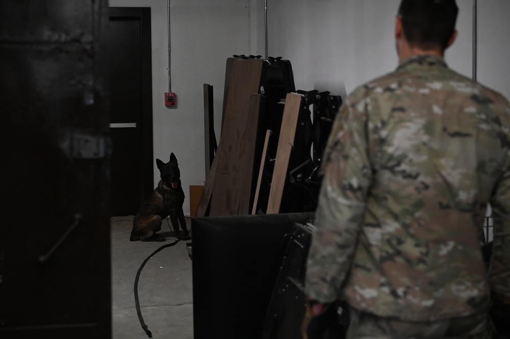 Military working dogs on duty, ensuring safety at Incirlik Air Base