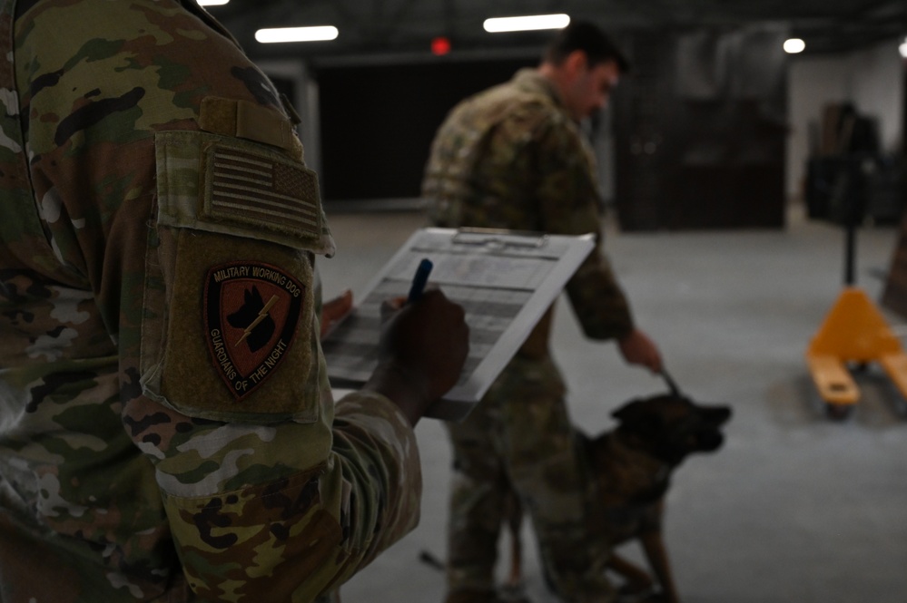 Military working dogs on duty, ensuring safety at Incirlik Air Base