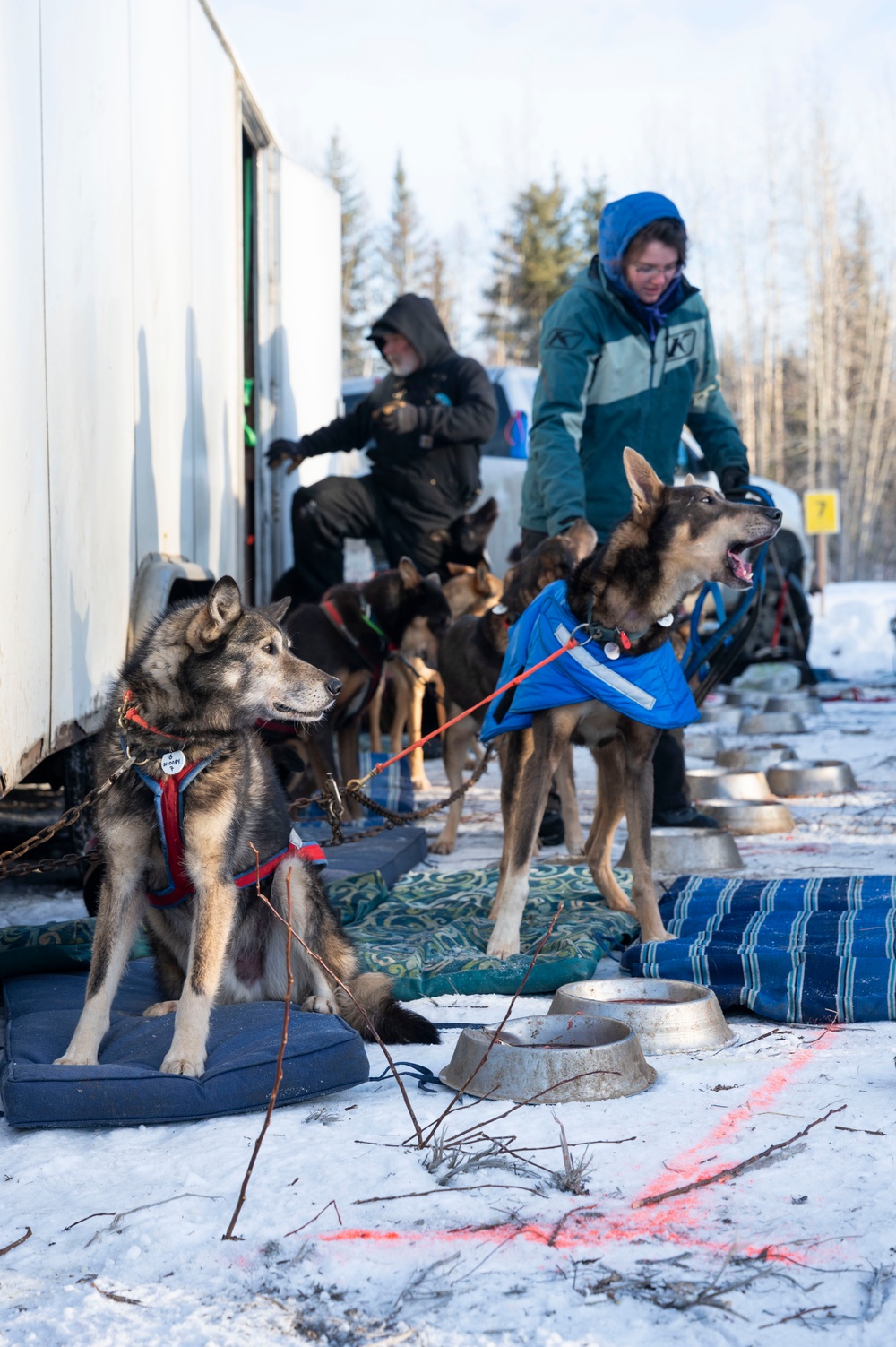 Serving in the Heart of Alaska at the Iditarod Sled Dog Race