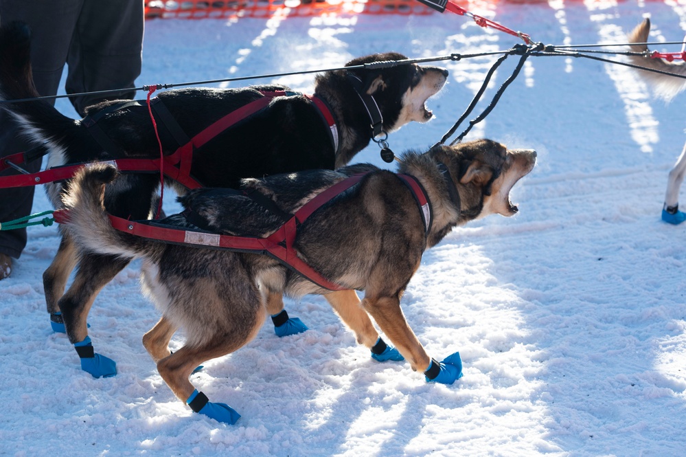 Serving in the Heart of Alaska at the Iditarod Trail Sled Dog Race