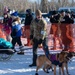 Serving in the Heart of Alaska at the Iditarod Sled Dog Race