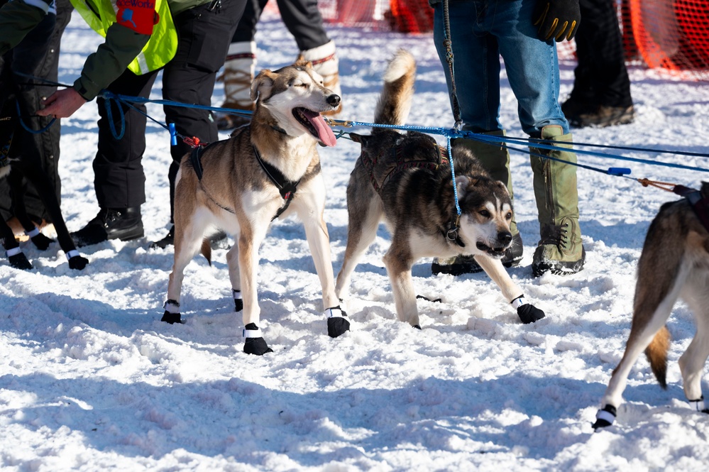 Serving in the Heart of Alaska at the Iditarod Sled Dog Race