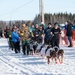 Serving in the Heart of Alaska at the Iditarod Sled Dog Race