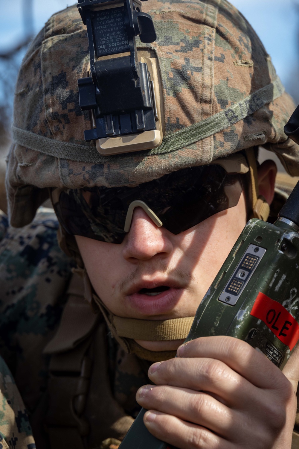 1st Bn., 11th Marines participate in Operation Lethal Eagle 25.1