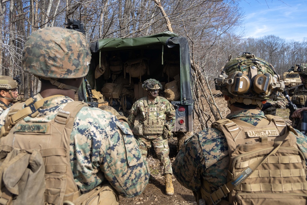 1st Bn., 11th Marines participate in Operation Lethal Eagle 25.1