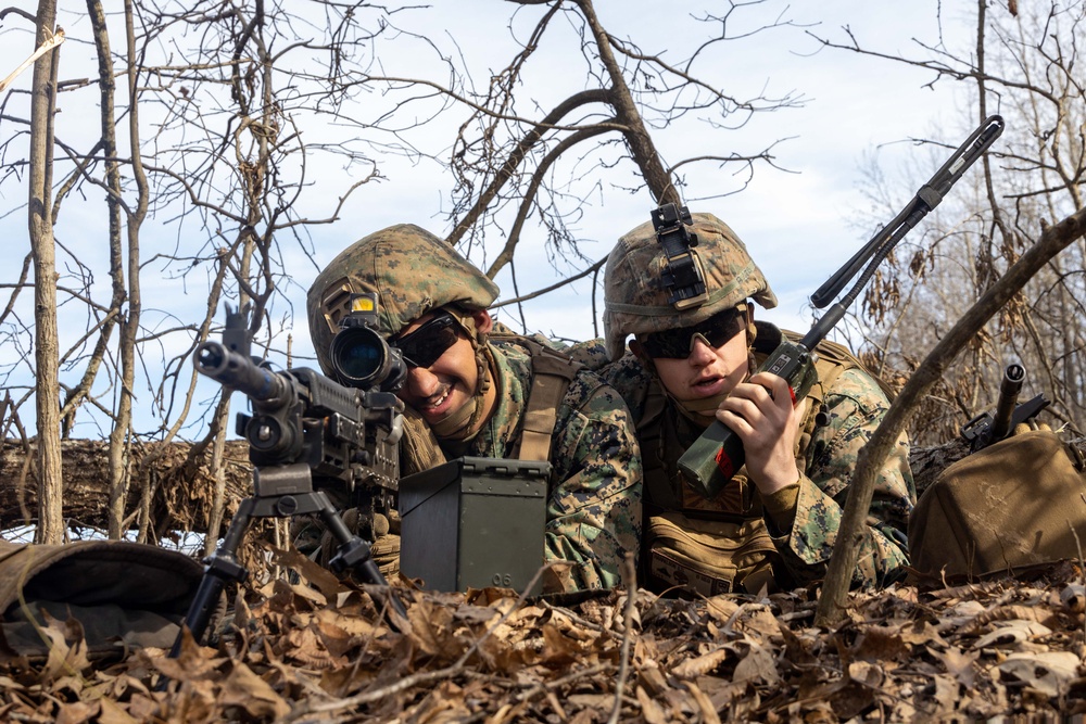1st Bn., 11th Marines participate in Operation Lethal Eagle 25.1
