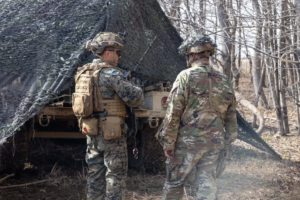1st Bn., 11th Marines participate in Operation Lethal Eagle 25.1