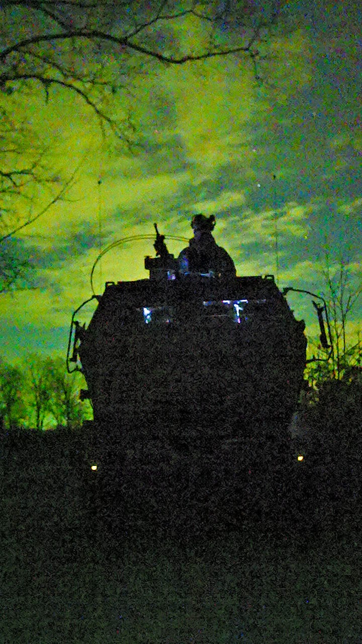 1st Bn., 11th Marines participate in Operation Lethal Eagle 25.1