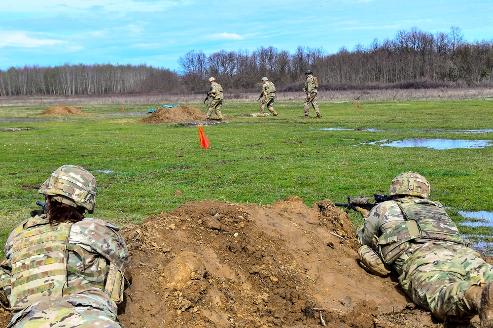 Sky Soldiers Conduct M4 team live-fire exercises at Gašinci training area, Croatia