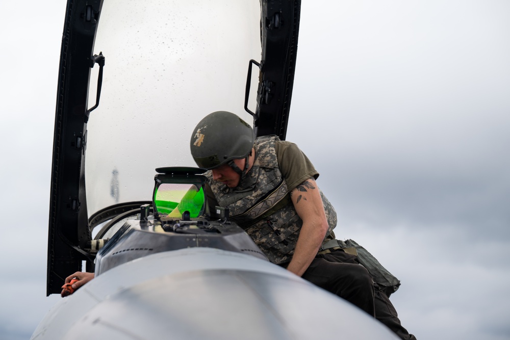 Exercise Fighting Wyvern 25-01 jet inspection