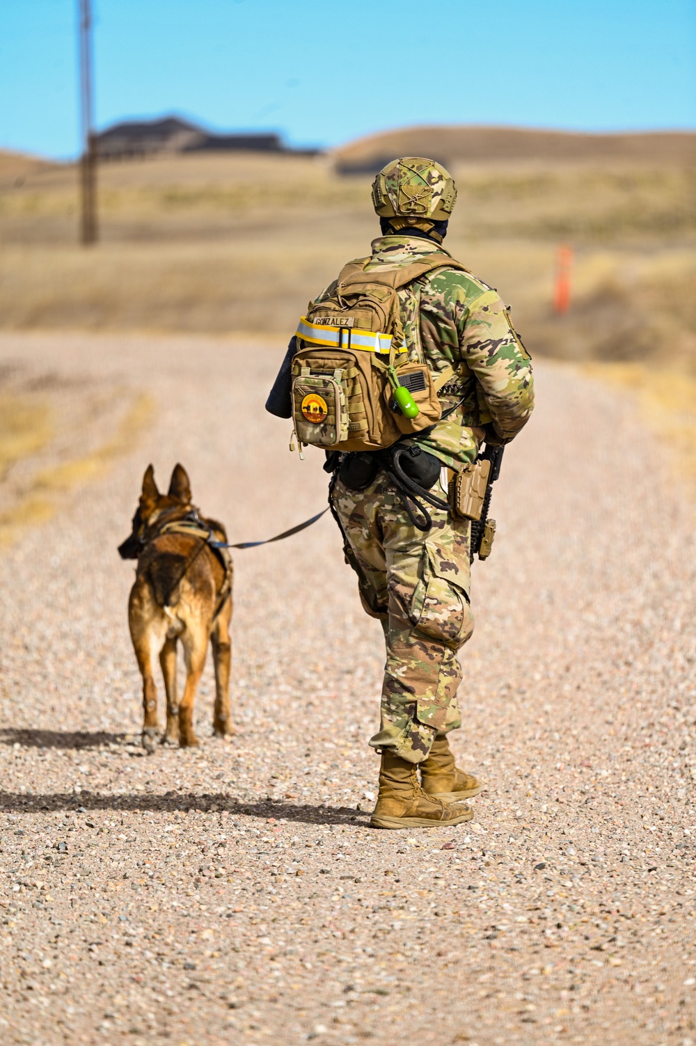 Partners in protection: MWDs perform detection training