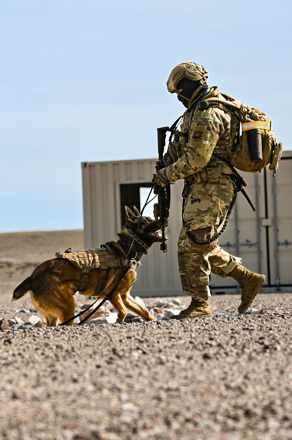 Partners in protection: MWDs perform detection training