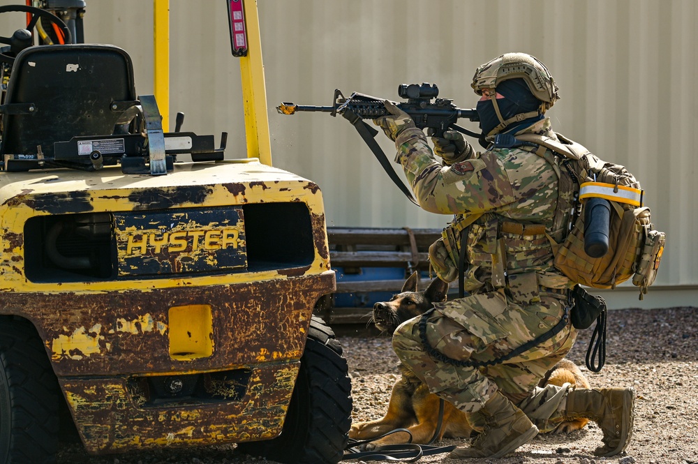 Partners in protection: MWDs perform detection training
