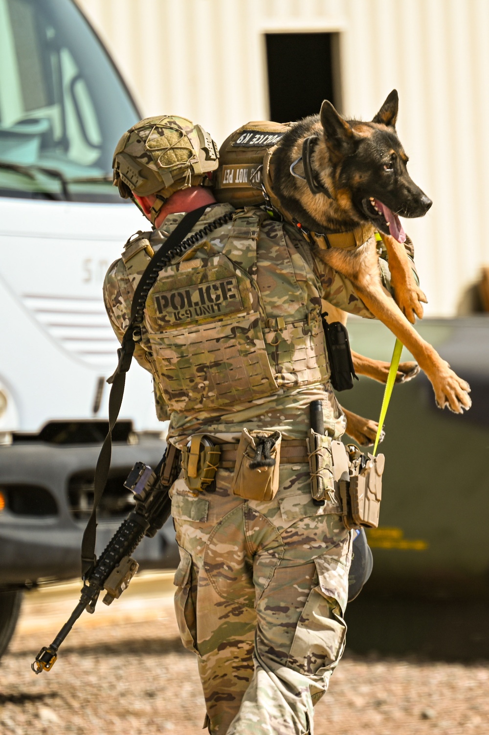 Partners in protection: MWDs perform detection training