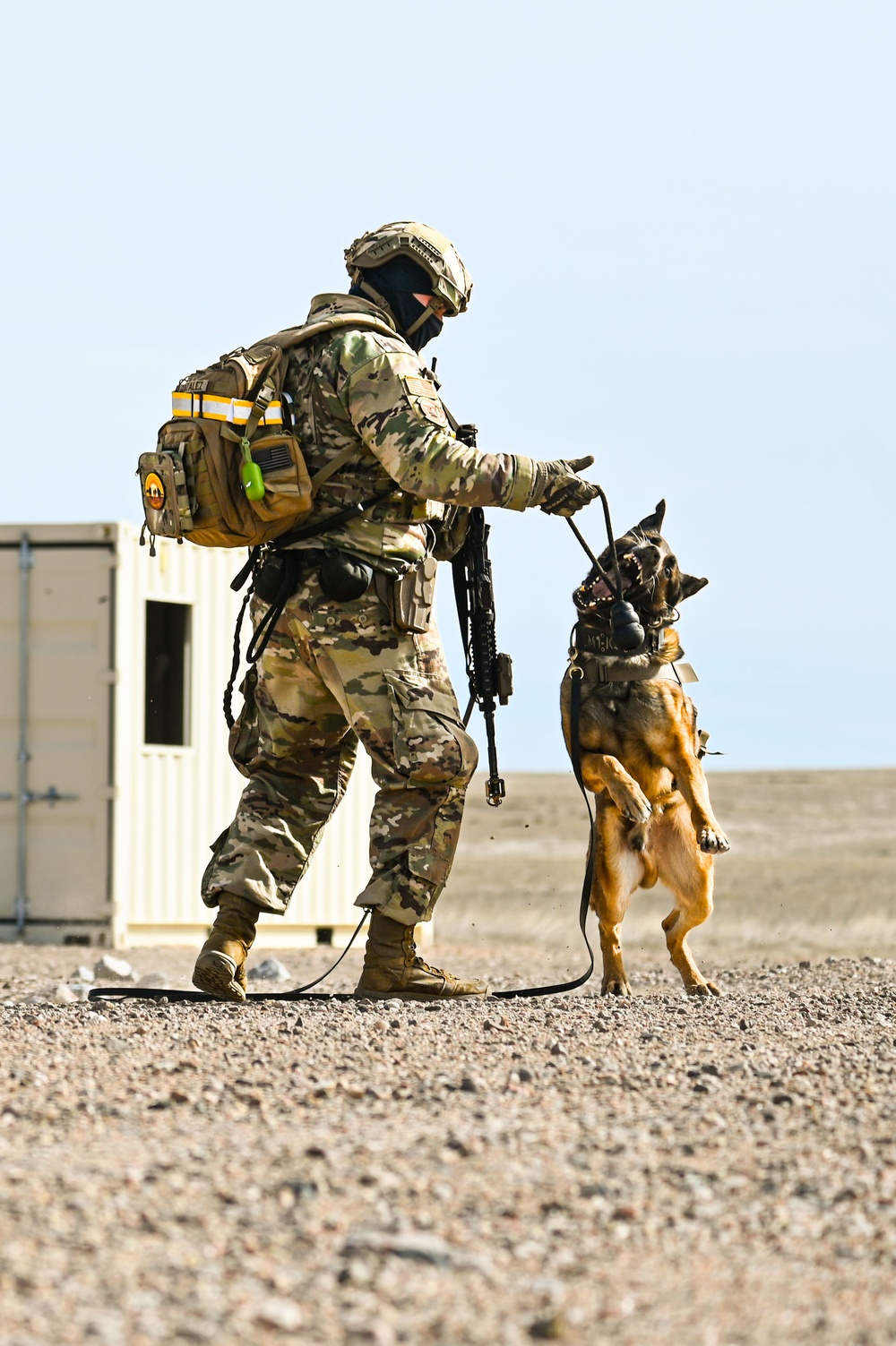 Partners in protection: MWDs perform detection training