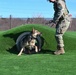 MWDs demonstrate skill during K-9 Veterans Day