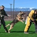 MWDs demonstrate skill during K-9 Veterans Day