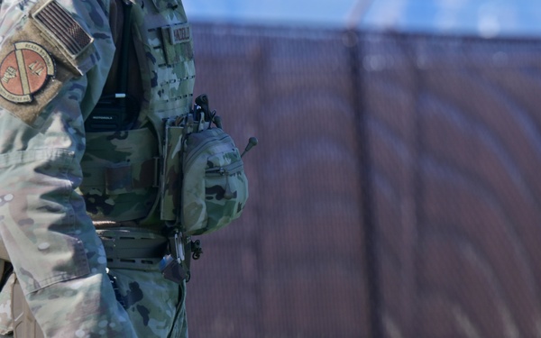 MWDs demonstrate skill during K-9 Veterans Day