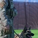 MWDs demonstrate skill during K-9 Veterans Day