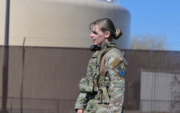 MWDs demonstrate skill during K-9 Veterans Day