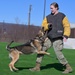 MWDs demonstrate skill during K-9 Veterans Day