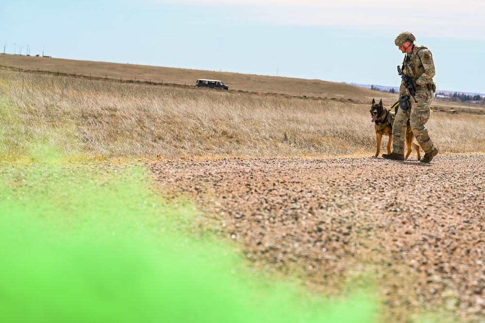 Partners in protection: MWDs perform detection training