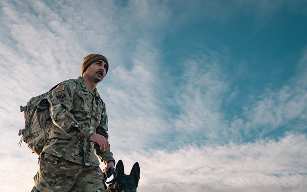 K-9 Veterans Day Ruck